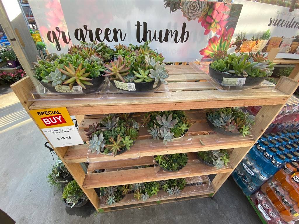 Garden Center at The Home Depot | 1781 E Bayshore Rd, East Palo Alto, CA 94303, USA | Phone: (650) 462-6800