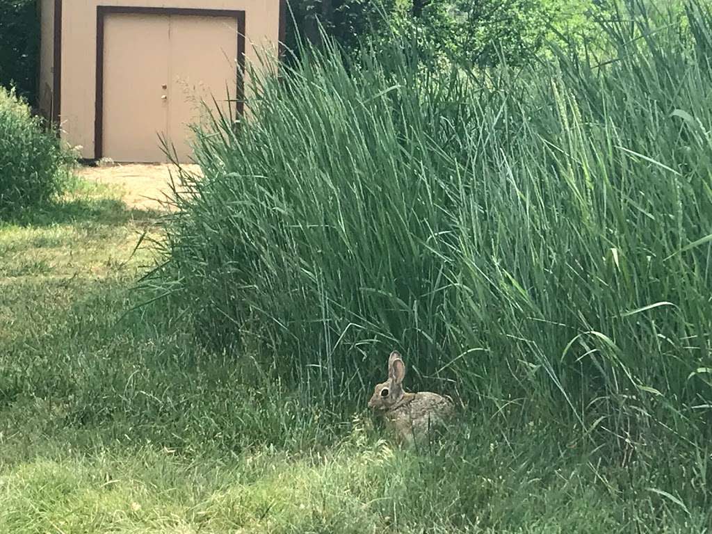 Two Ponds National Wildlife Refuge Parking lot | Arvada, CO 80005 | Phone: (303) 289-0232