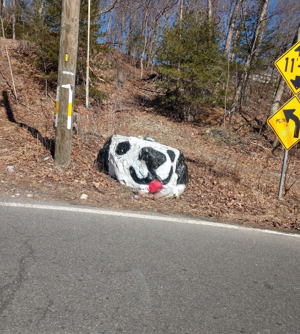 Dog Rock Trail In Walpole | Plimpton St, Walpole, MA 02081