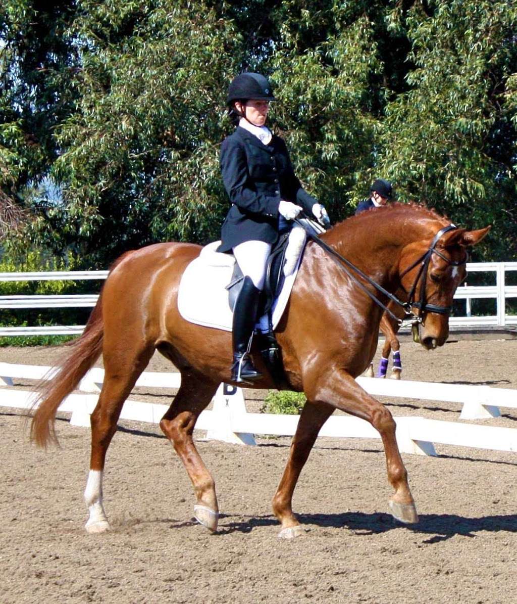 Angie Grove Dressage | 2581 Kanan Rd, Agoura Hills, CA 91301, USA | Phone: (818) 391-8958