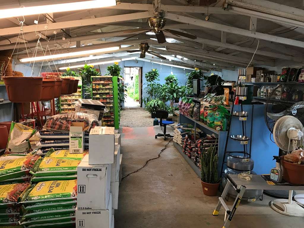 Chambers Nursery Garden Center | 3307 W Shady Grove Rd, Irving, TX 75060, USA | Phone: (972) 986-5903