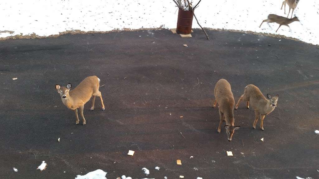 JMF Electrical Contractor | 115 Price Dr, Mountainhome, PA 18342, USA | Phone: (570) 595-2972