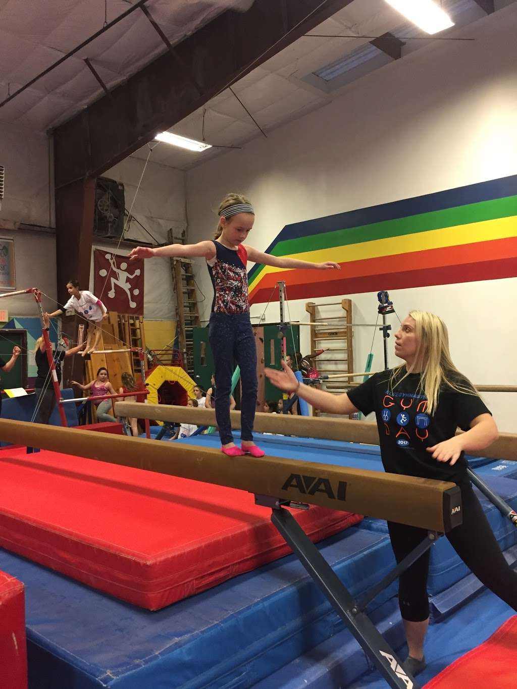 Elite Gymnastics | 80 5th Ave, Hawthorne, NJ 07506, USA | Phone: (973) 423-4040