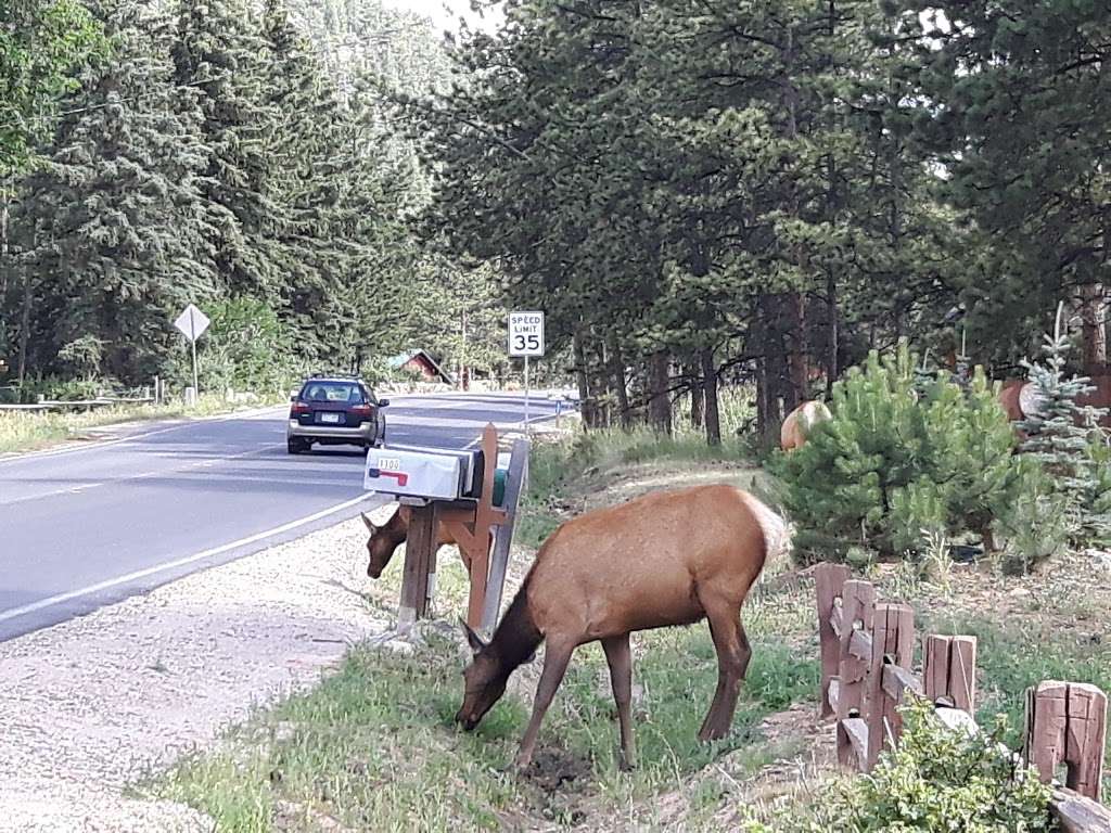 Monte Verde Cabin | 1001-1083 Middle Broadview Rd, Estes Park, CO 80517, USA | Phone: (970) 586-3708