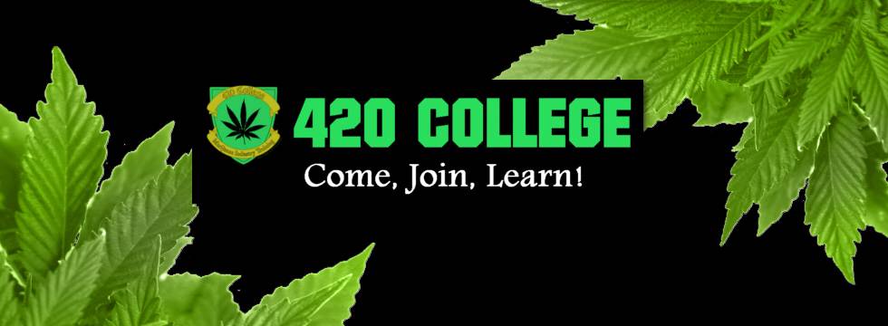 California Cannabis Institute | 2329 E Ashlan Ave, Fresno, CA 93726, USA | Phone: (855) 420-8255