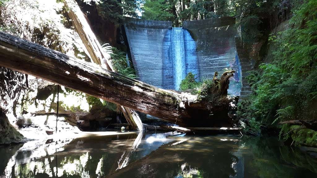 The Waterfall Spot | Prescott Rd, Soquel, CA 95073, USA