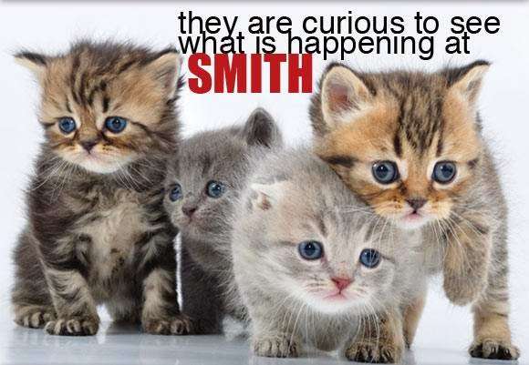 Smith Animal Clinic Inc | 4720 W 109th Ave, Crown Point, IN 46307, USA | Phone: (219) 663-0113