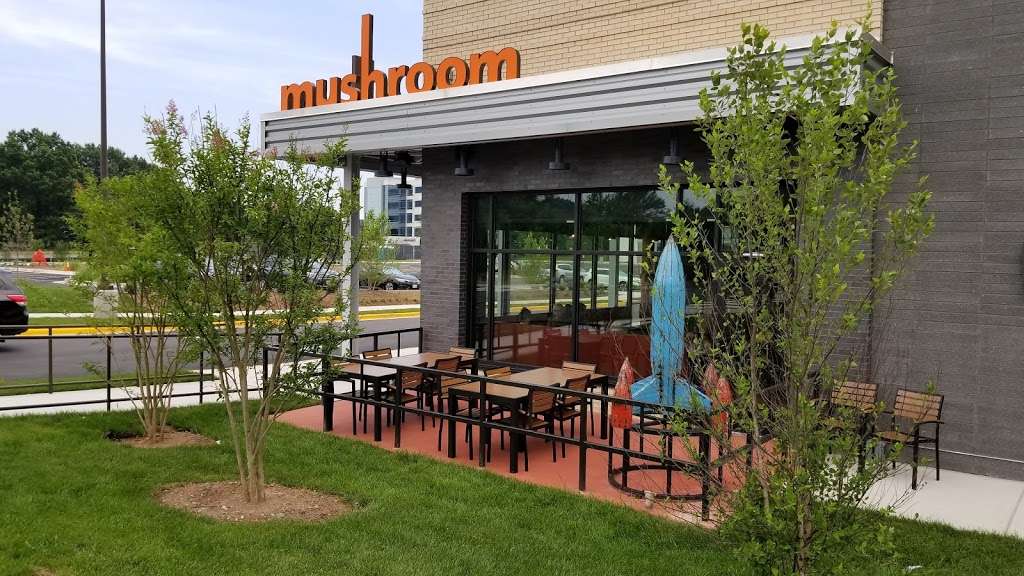 Mellow Mushroom | 14335 Newbrook Dr, Chantilly, VA 20151 | Phone: (703) 480-1295