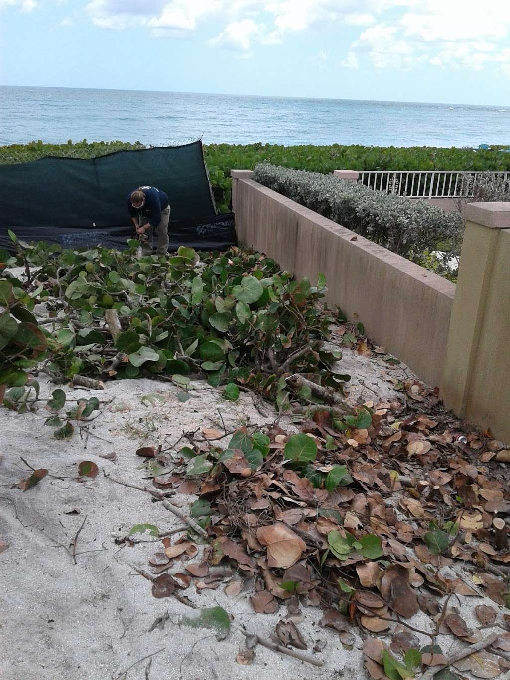 Ocean Drive Roofing, Inc. | 35 Ocean Dr, Jupiter, FL 33469, USA | Phone: (561) 972-4941