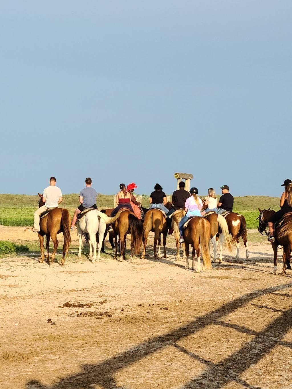 Horses on the Beach | 16562 S Padre Island Dr, Corpus Christi, TX 78418, USA | Phone: (361) 949-4944