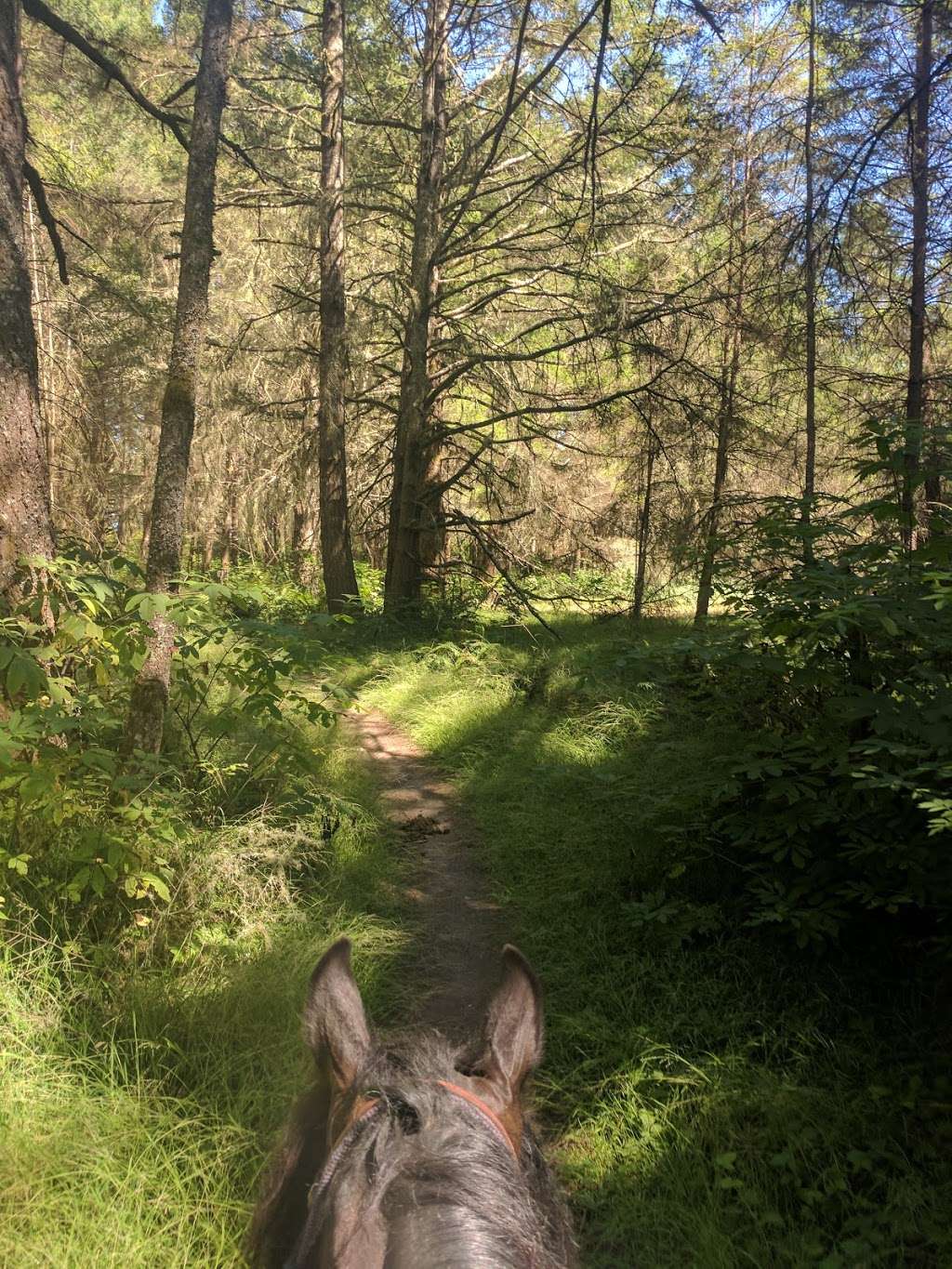 Point Reyes National Seashore | 1 Point Reyes-Petaluma Rd, Inverness, CA 94937 | Phone: (415) 464-5137