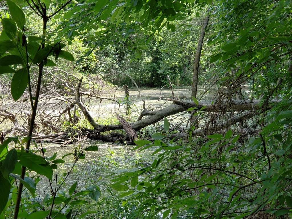 Elm Fork Nature Preserve Trail Entrance | 2335 Sandy Lake Rd, Carrollton, TX 75006, USA | Phone: (972) 466-3080