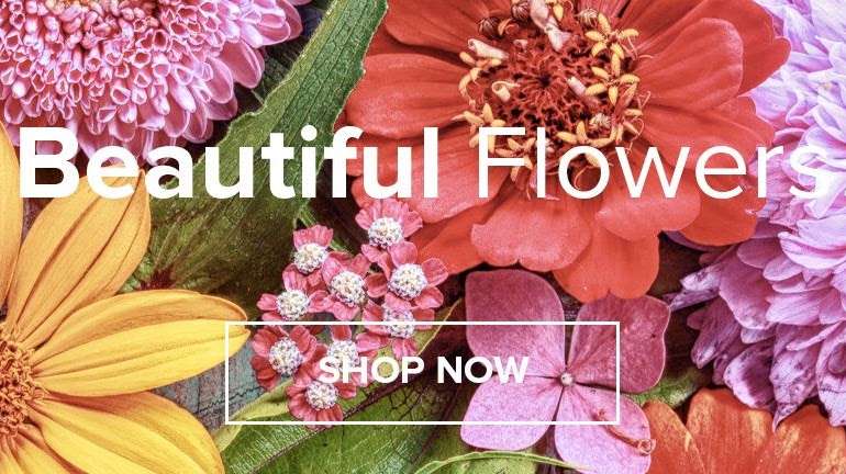 Corona Florist | 1258 Border Ave, Corona, CA 92882 | Phone: (951) 735-3550