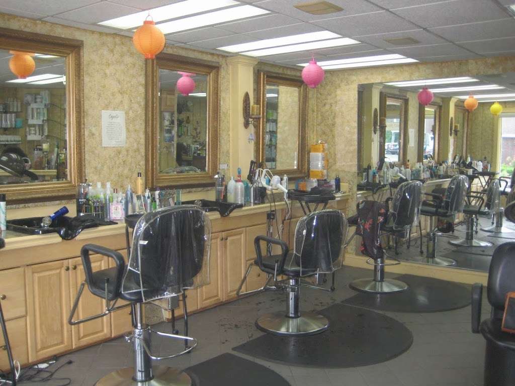 Capelli Salon | 124 New Canaan Ave #1, Norwalk, CT 06850, USA | Phone: (203) 847-9043