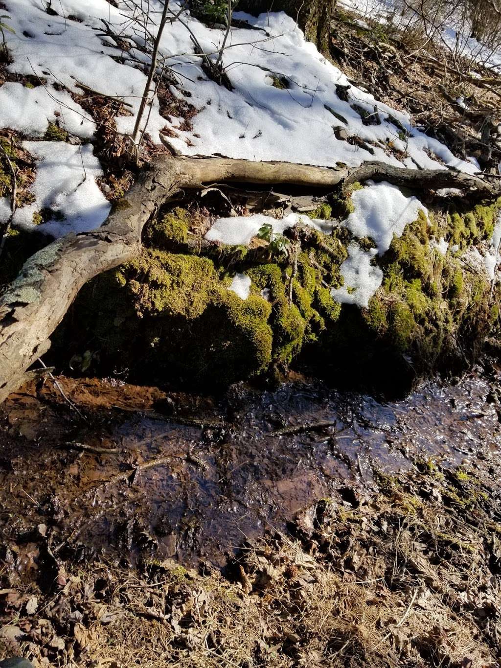 Mariawald Retreat House | 1094 Welsh Rd, Reading, PA 19607, USA | Phone: (610) 777-0135