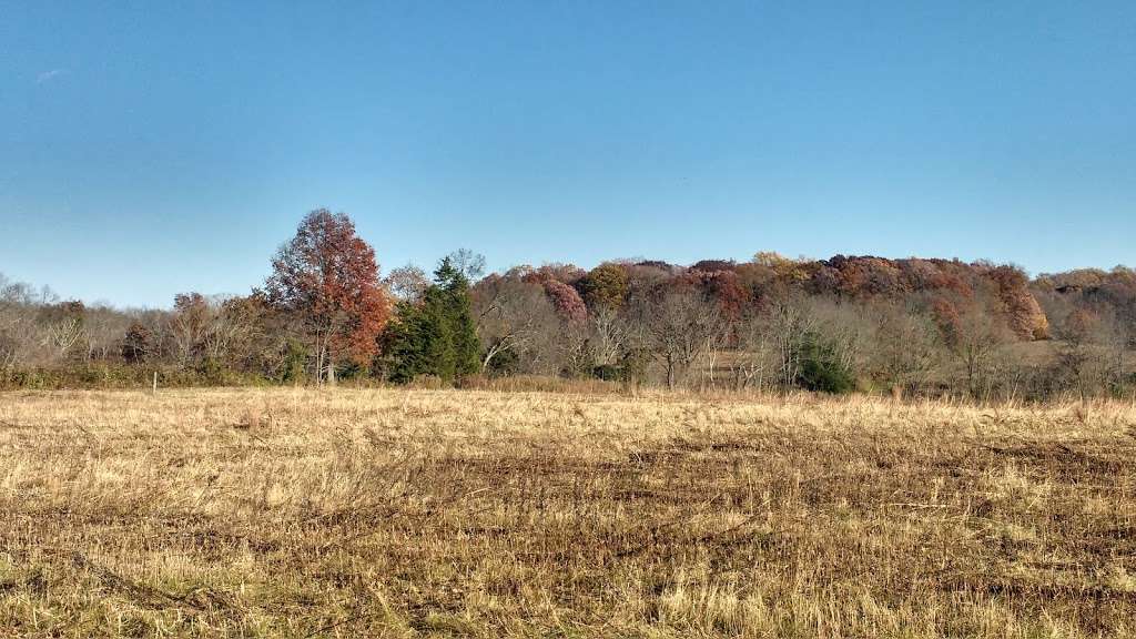 Griggstown Native Grassland Preserve | Princeton, NJ 08540