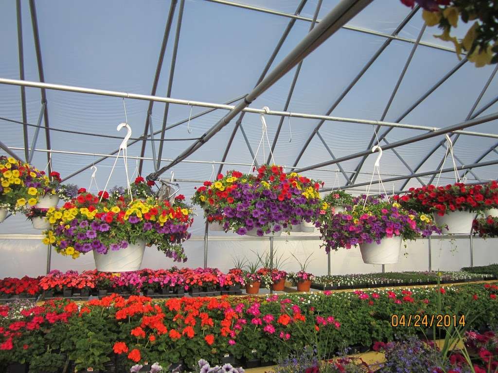 New Blooms Greenhouse | 3360 Strasburg Rd, Parkesburg, PA 19365, USA | Phone: (484) 787-9363
