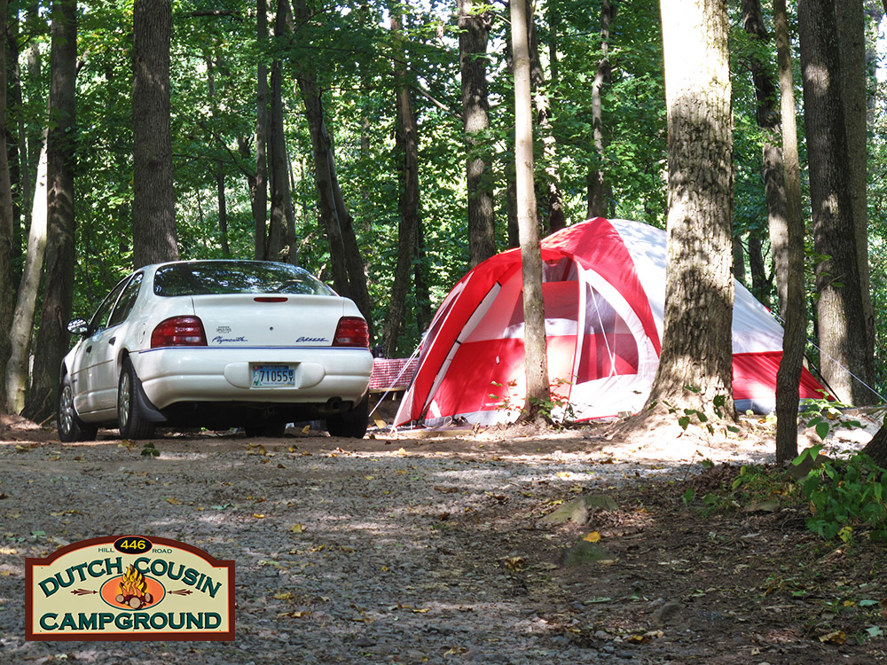 Dutch Cousin Campground | 446 Hill Rd, Denver, PA 17517, USA | Phone: (717) 336-6911