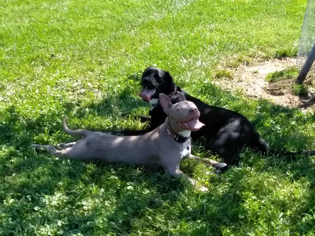 Wiles Branch Dog Park | Middletown, MD 21769, USA