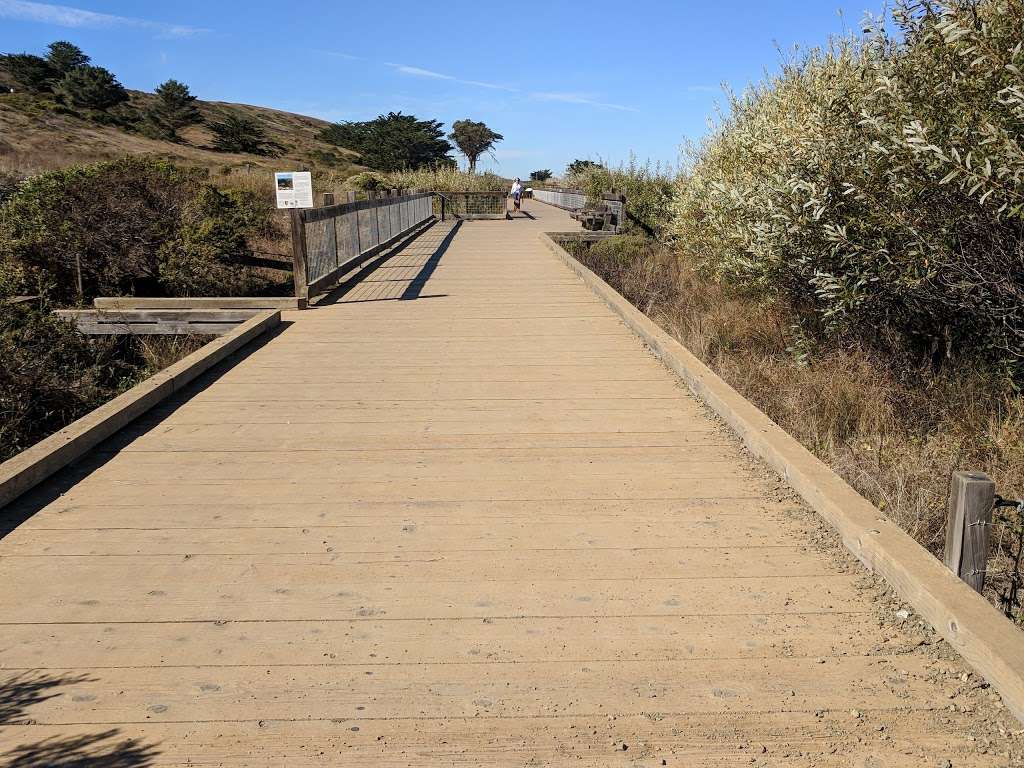 Old Mori Trail | Old Mori Road, 94044, Pacifica, CA 94044, USA