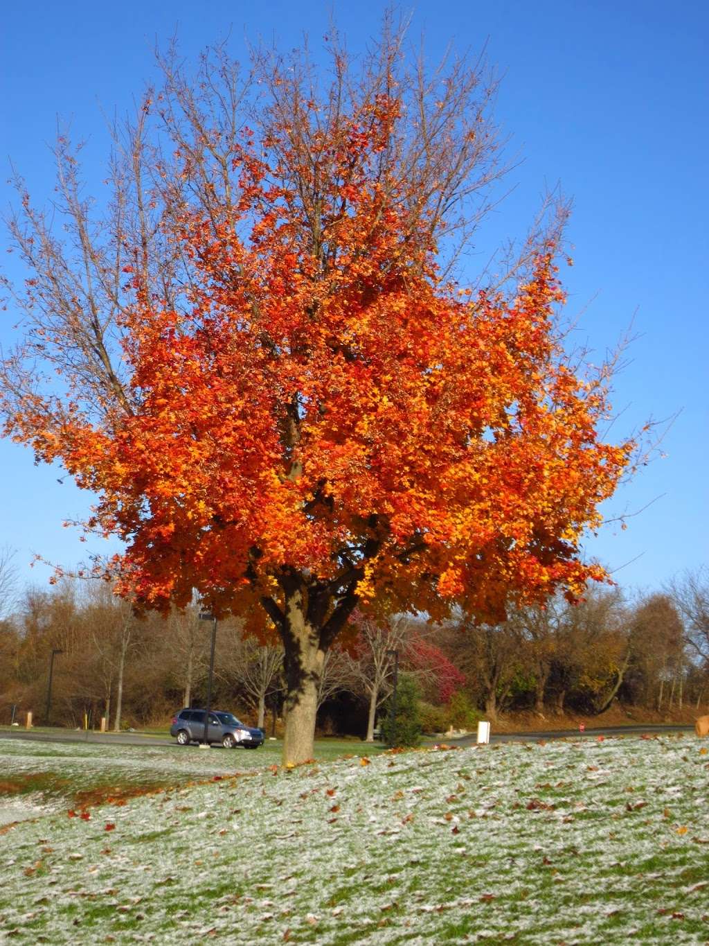 Lehigh County Sports Fields | Allentown, PA 18104, USA