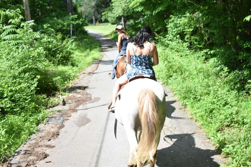 Haycock Riding Stables Inc | 1035 Old Bethlehem Rd, Perkasie, PA 18944, USA | Phone: (215) 257-6271