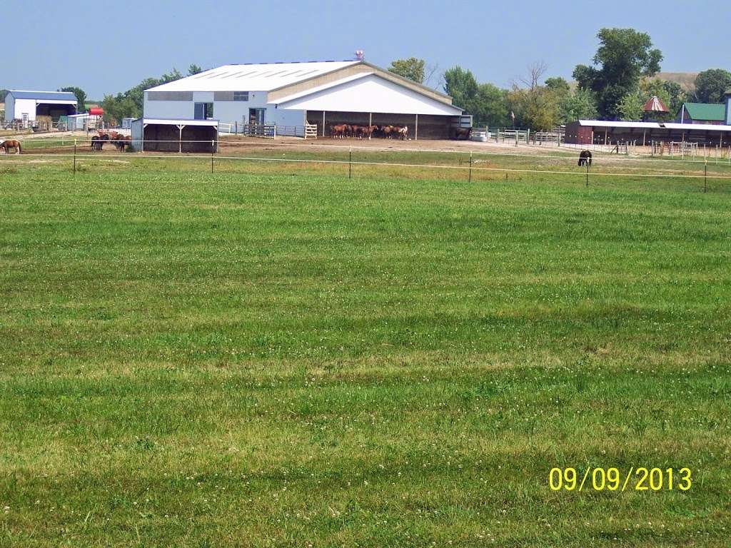 Wind Dancer Farms | 8702 Raynor Ave, Franksville, WI 53126, USA | Phone: (414) 425-3463