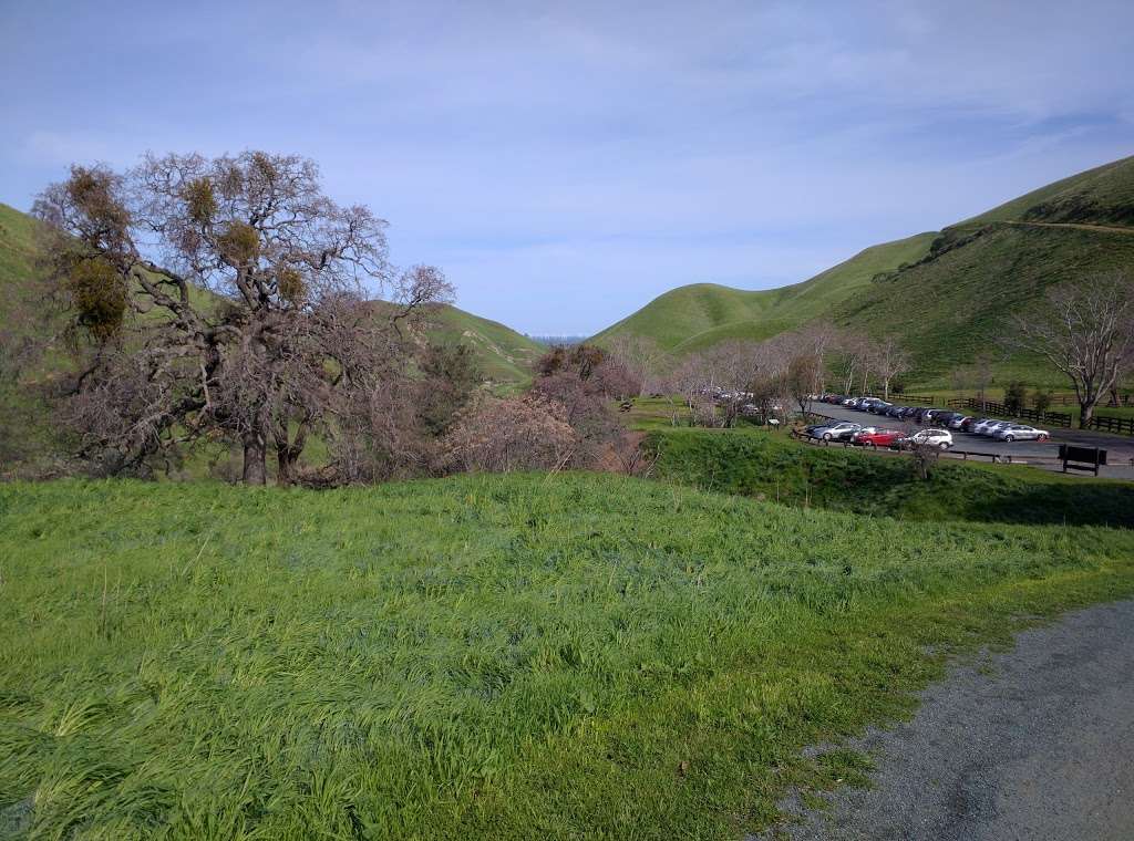 Somersville Staging Area, Black Diamond Mines Regional Preserve | Somersville Rd, Pittsburg, CA 94565, USA | Phone: (510) 544-2750