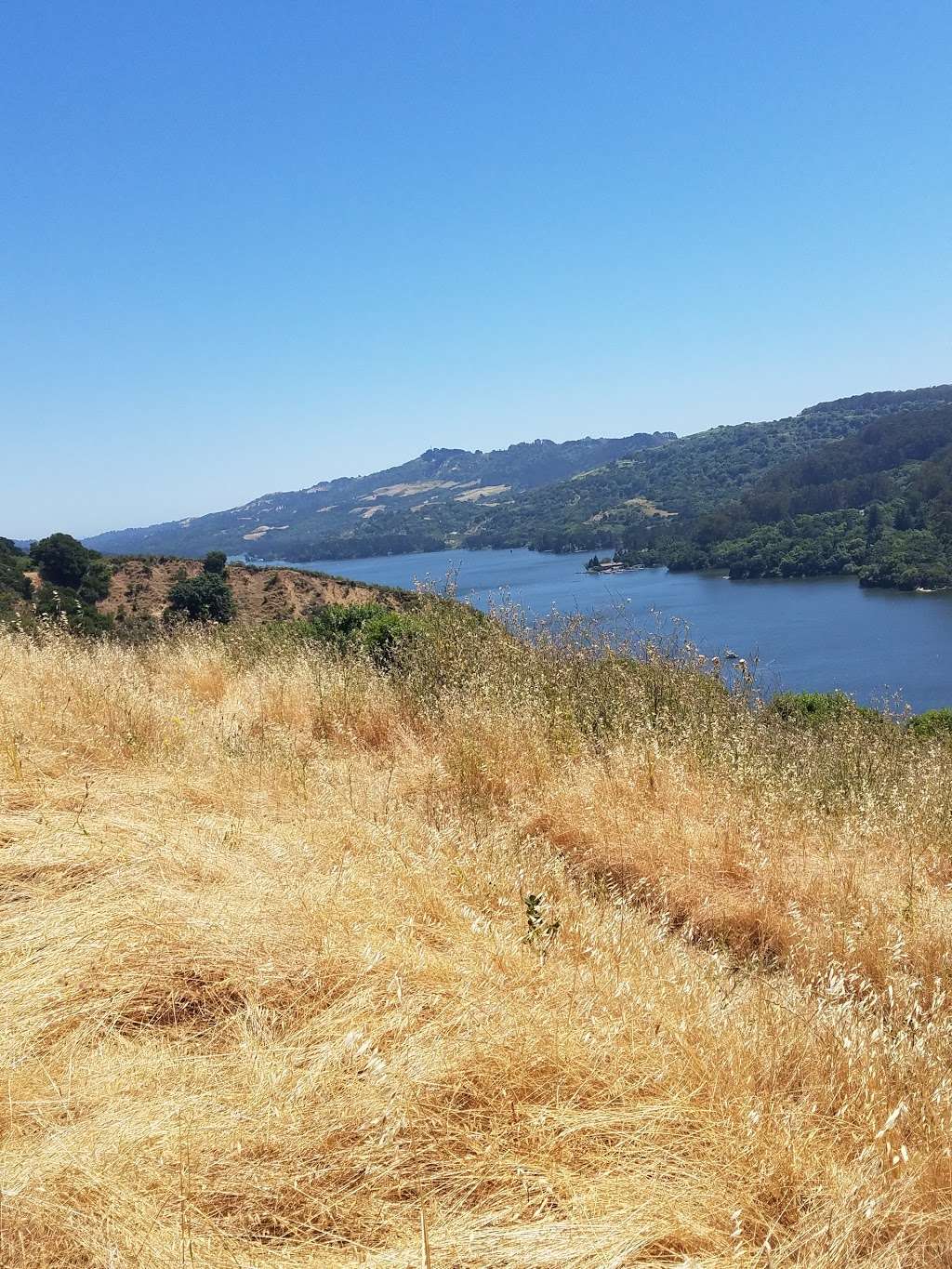 Kennedy Grove Regional Recreation Area | 6531 San Pablo Dam Rd, El Sobrante, CA 94803 | Phone: (888) 327-2757