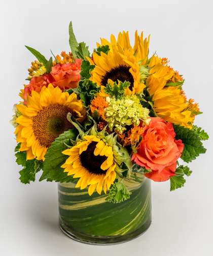 Village Arts & Flowers | 631 Main St, Walpole, MA 02081 | Phone: (508) 668-0022