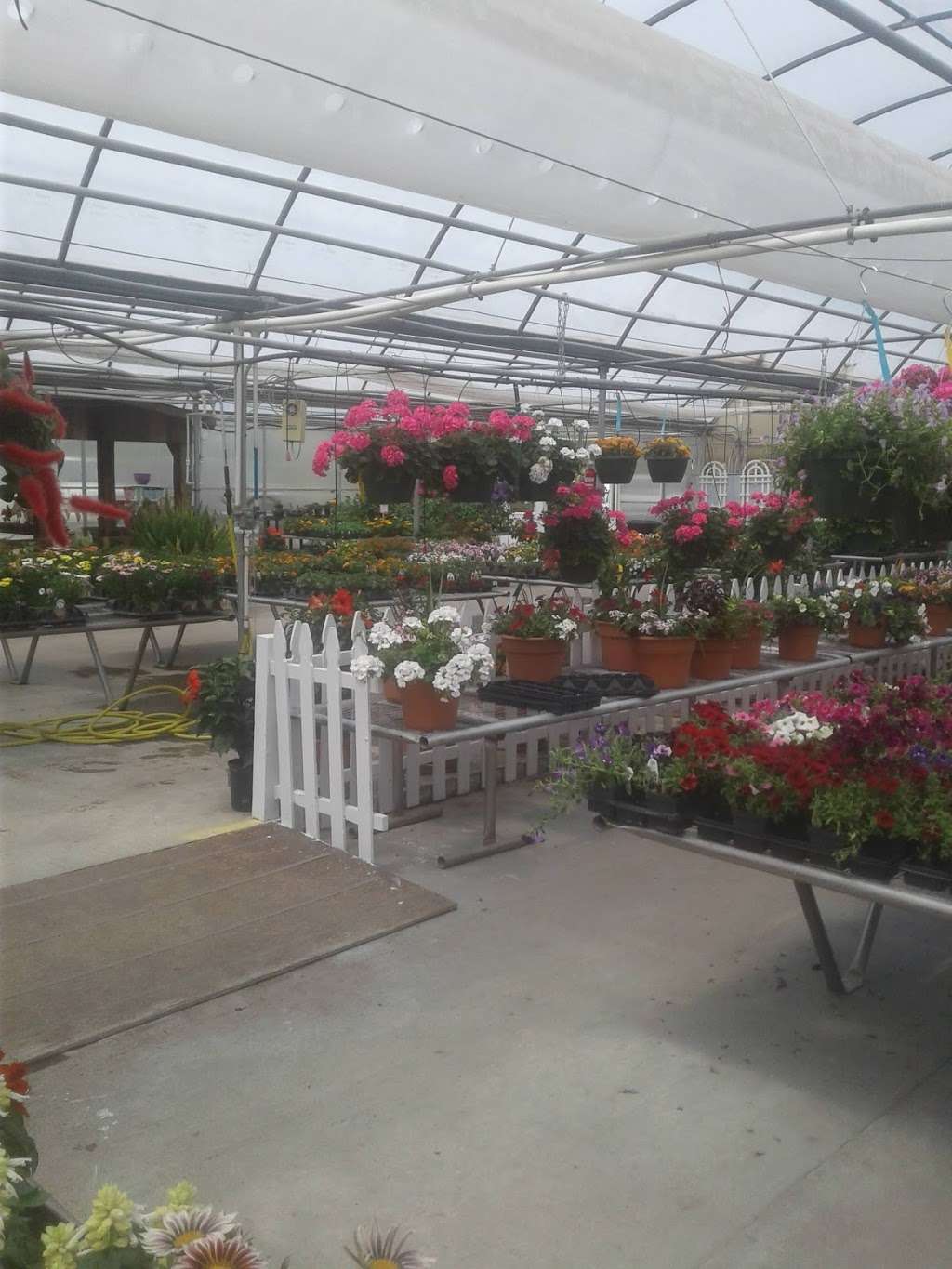 Elsburys Greenhouses | 5073 IN-9, Hope, IN 47246, USA | Phone: (812) 546-2076