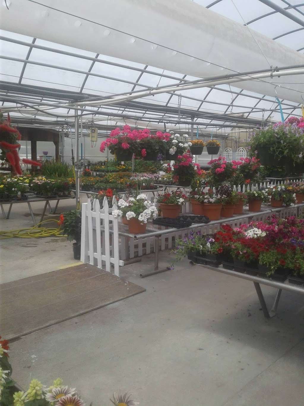 Elsburys Greenhouses | 5073 IN-9, Hope, IN 47246 | Phone: (812) 546-2076