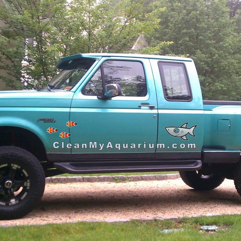 Clean My Aquarium | 60 Bellevale St, Monroe, CT 06468, USA | Phone: (203) 726-4936