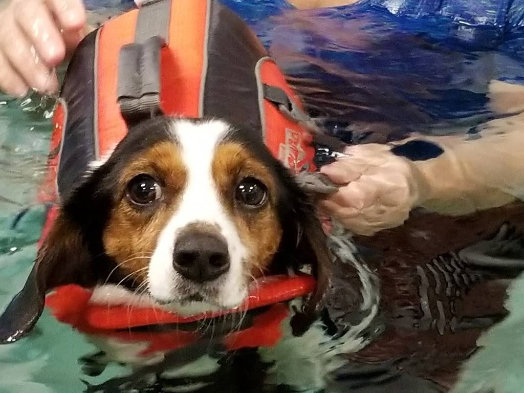 Aquatic Paws | 2830 B Fallfax Dr, Falls Church, VA 22042 | Phone: (571) 620-2782