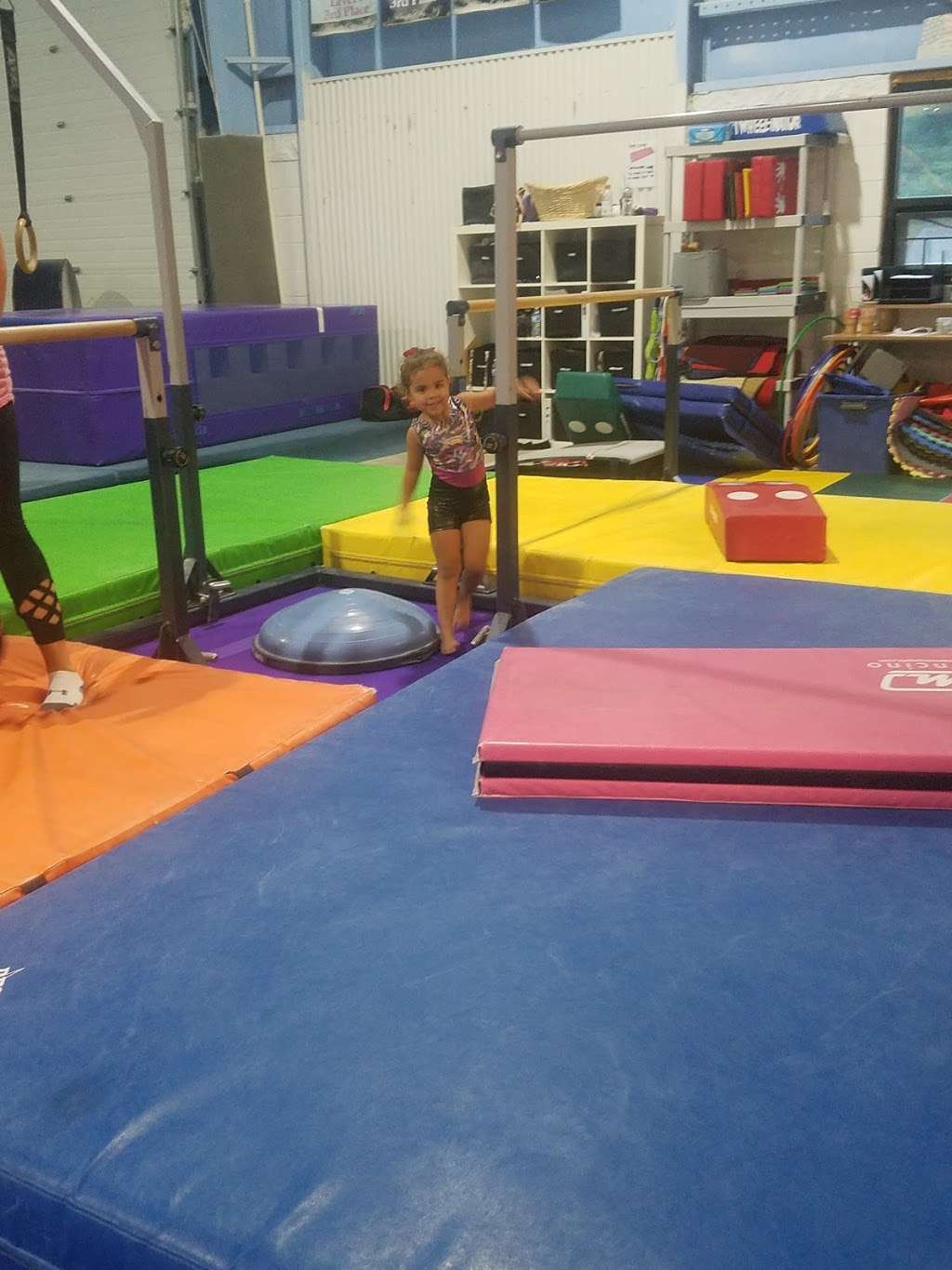 Action Gymnastics | 331 Fairfield Rd, Freehold, NJ 07728, USA | Phone: (732) 252-9202