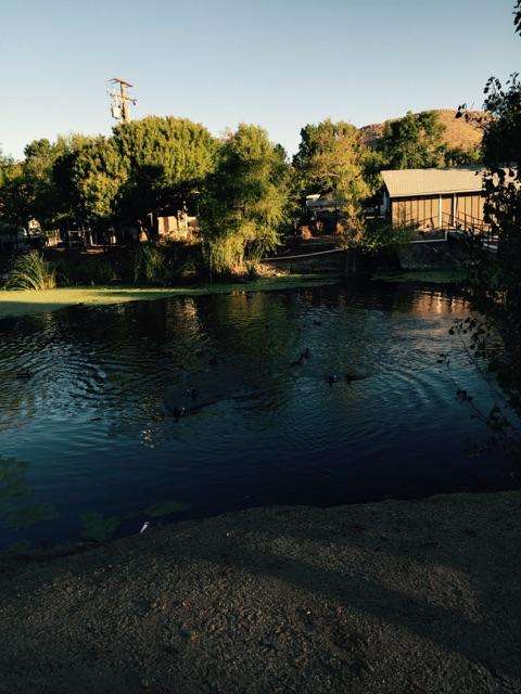 Meadowbrook RV Park | 26734 Peach St, Perris, CA 92570, USA | Phone: (951) 943-7233