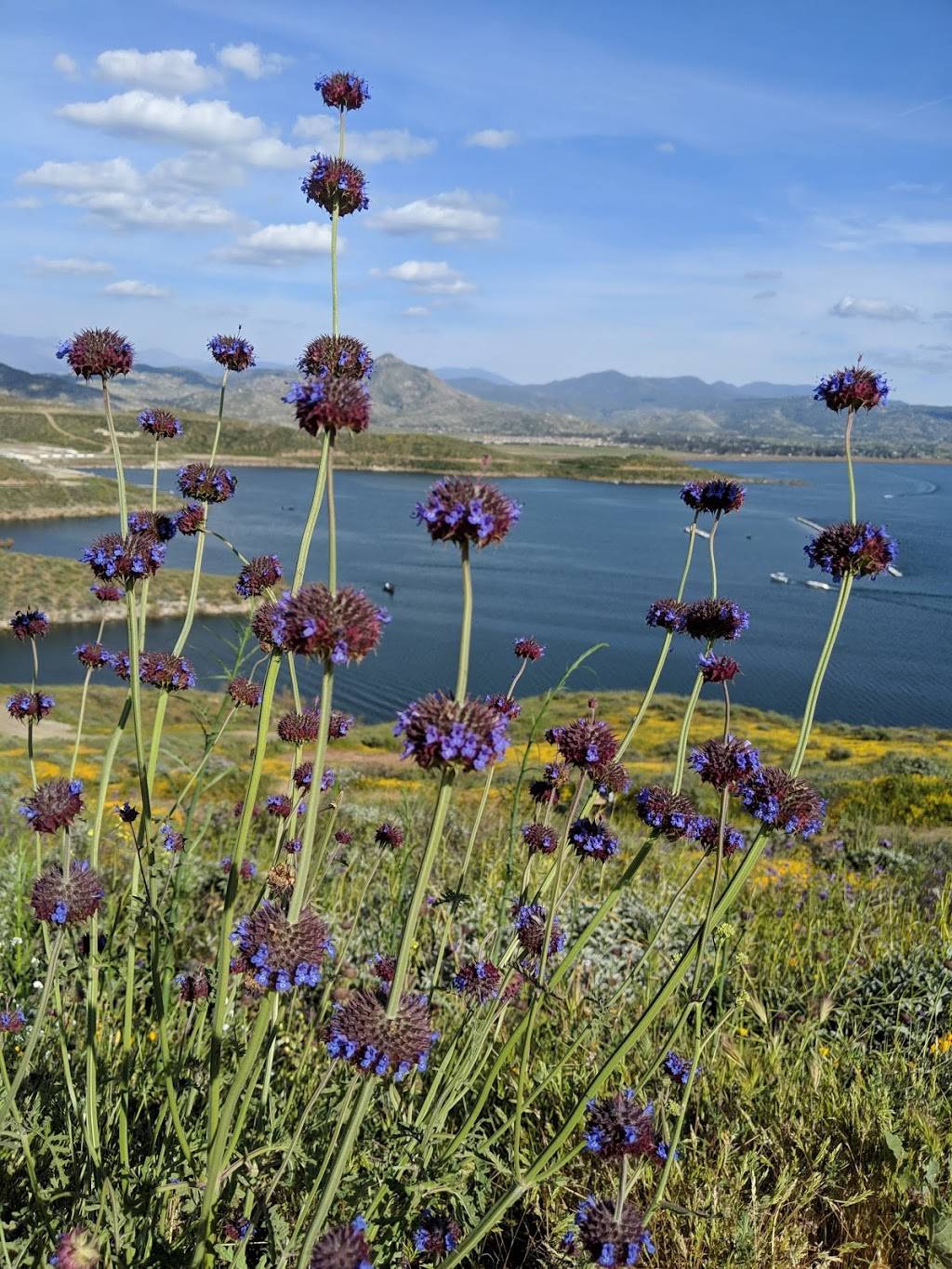 Wildflower Trail | Flower Trail, Hemet, CA 92545, USA