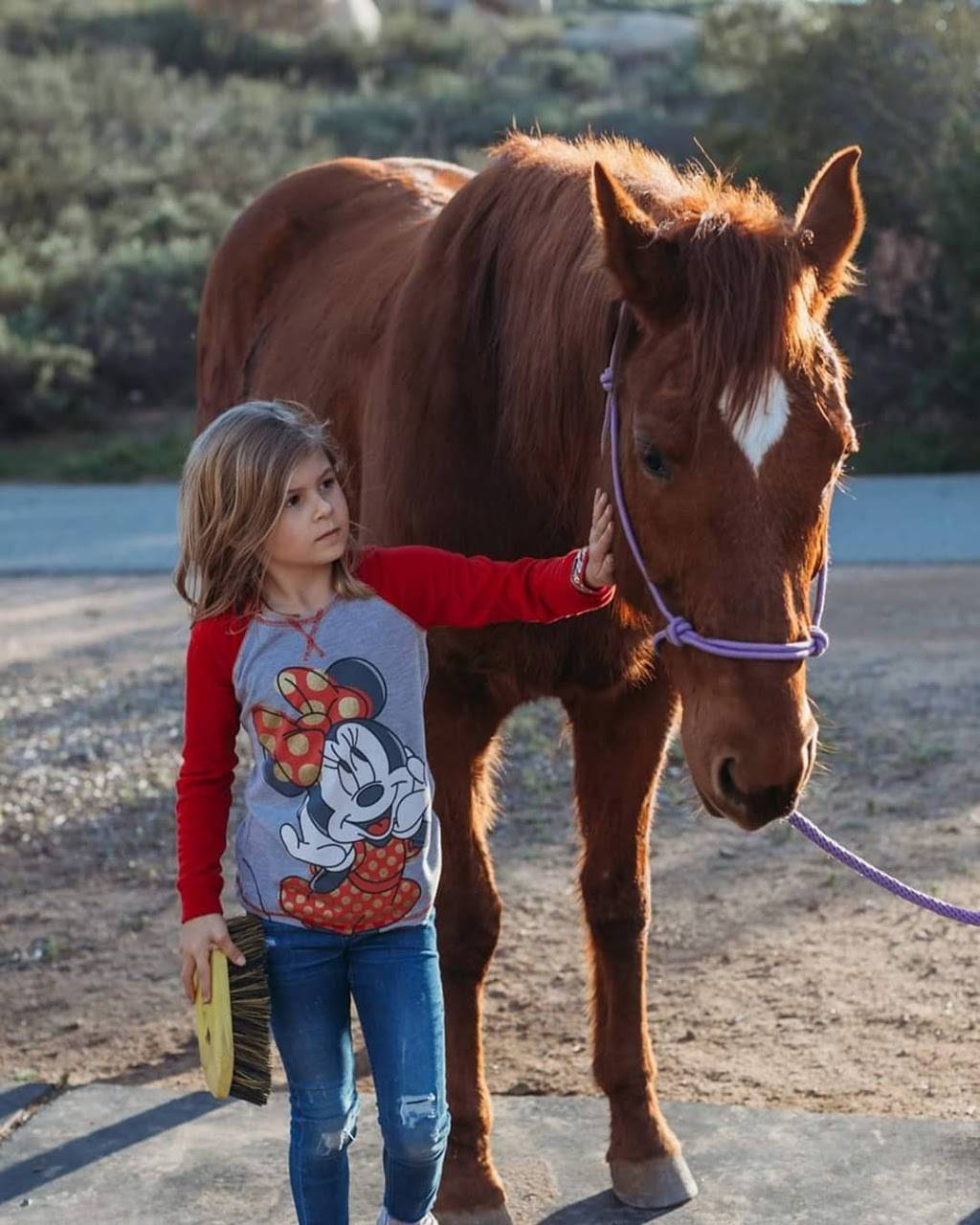 Betty Boop Horse Riding | 16050 Running Deer Trail, Poway, CA 92064, USA | Phone: (760) 916-4931