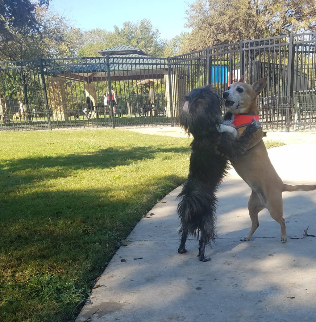 White Rock Lake Dog Park | 8000 E Mockingbird Ln, Dallas, TX 75218, USA | Phone: (214) 671-8001