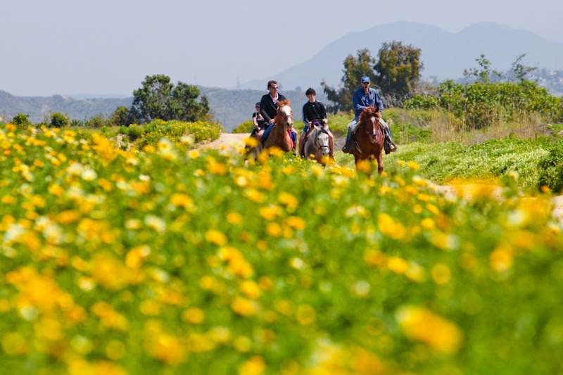 San Diego Beach Rides, Horse Rentals & Wagon Rides | 2606 Hollister St, San Diego, CA 92154, USA | Phone: (619) 947-3152