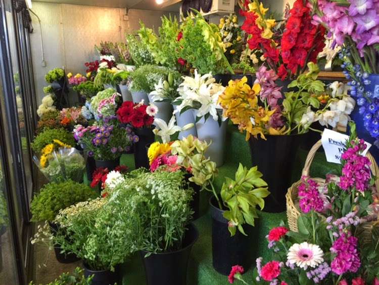 Green Hills Florist | 27501 S Western Ave, Rancho Palos Verdes, CA 90275, USA | Phone: (310) 547-0841