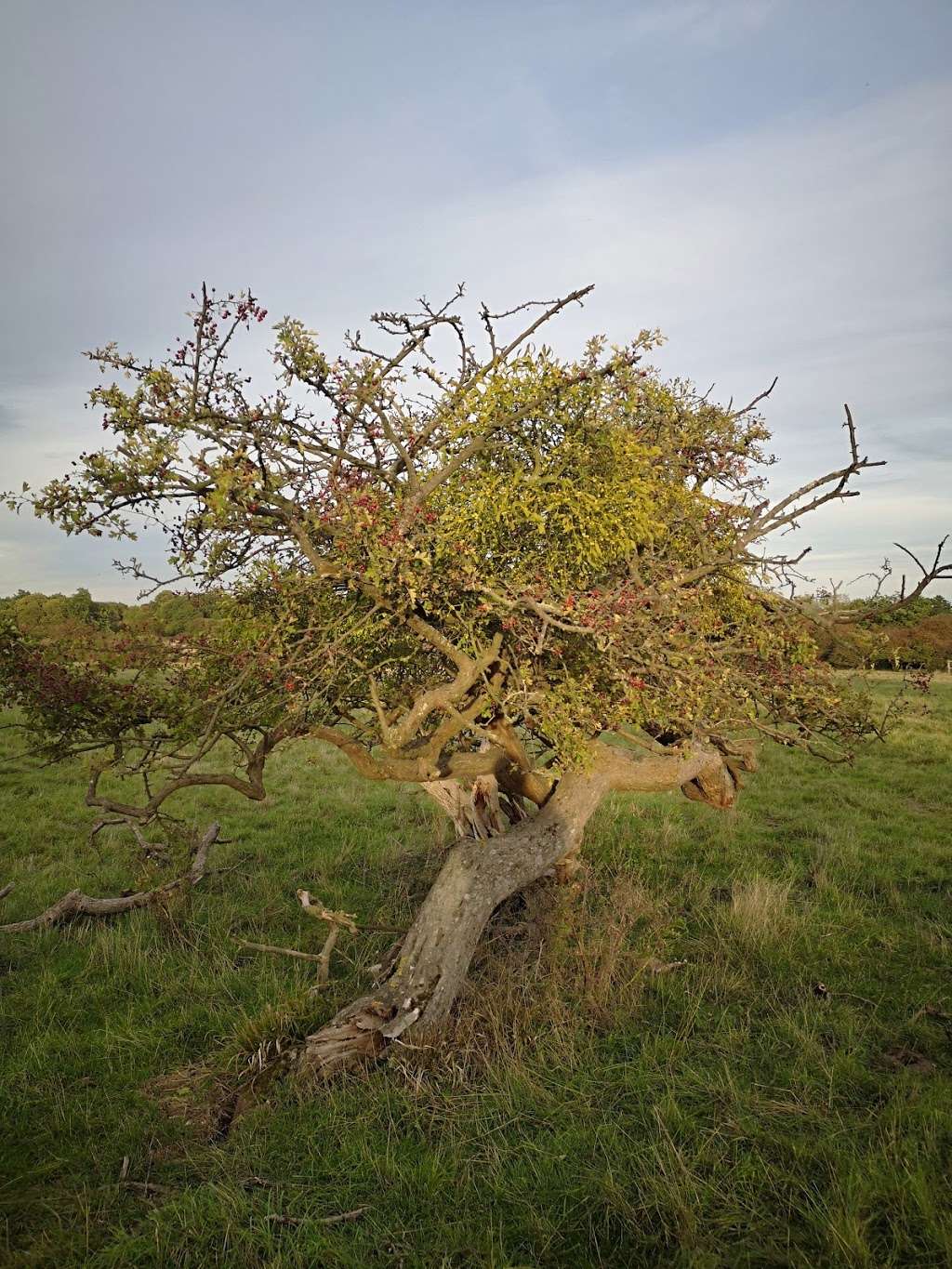 Hatfield Forest Car Park | Bishops Stortford CM22 6NG, UK