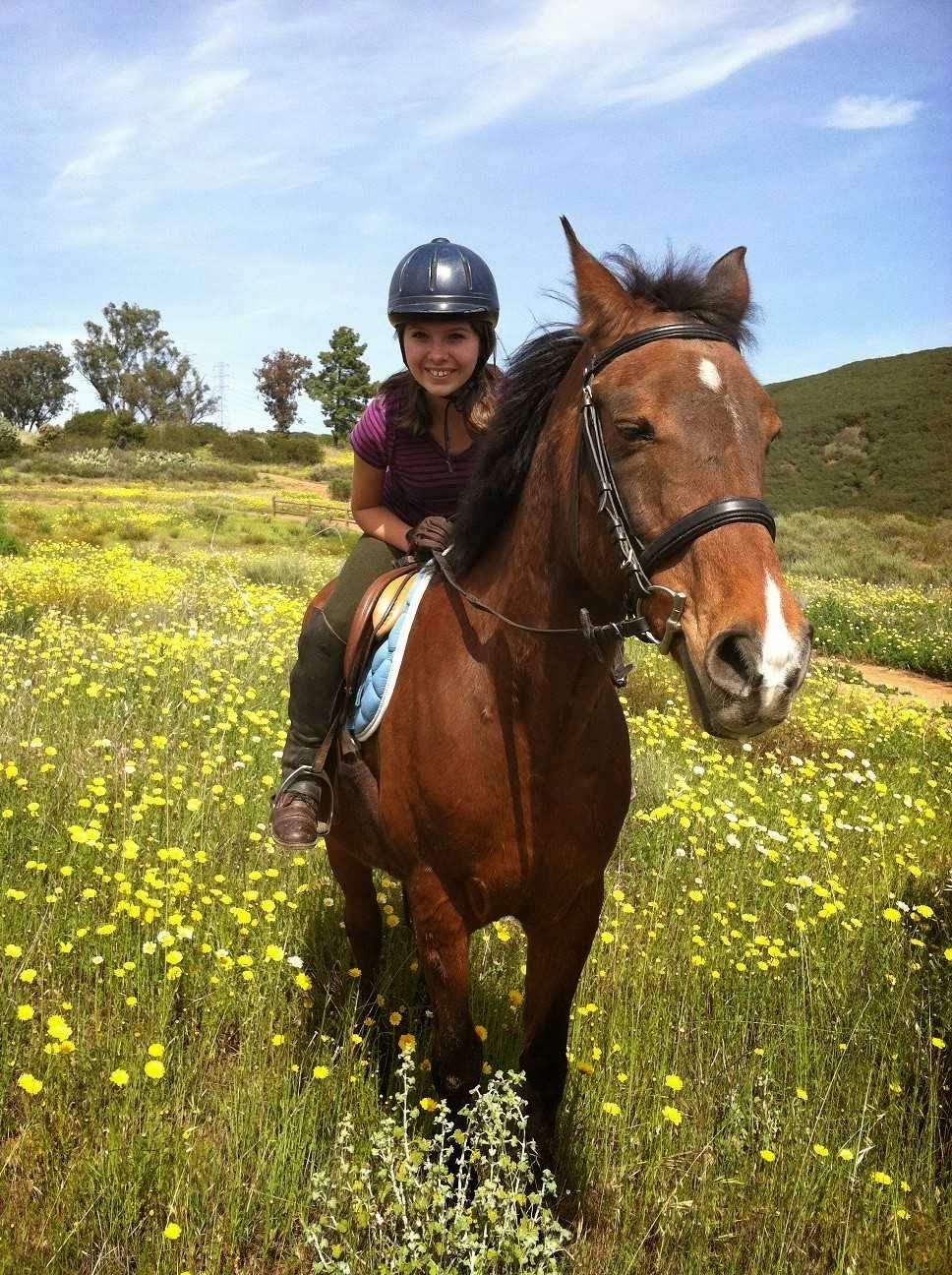 Mega Arte Riding Academy | 20767 Fortuna Del Norte, Escondido, CA 92029, USA | Phone: (760) 822-4778