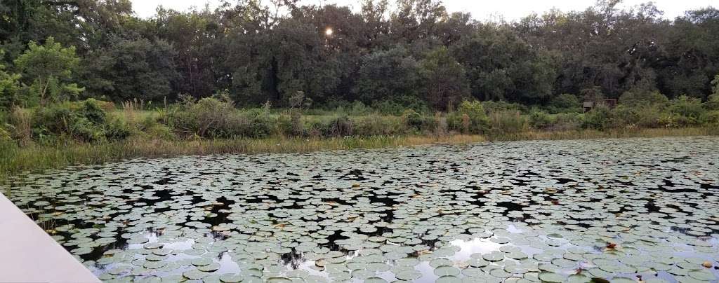 Long Key Natural Area & Nature Center | 3501 SW 130th Ave, Davie, FL 33330, USA | Phone: (954) 357-8797