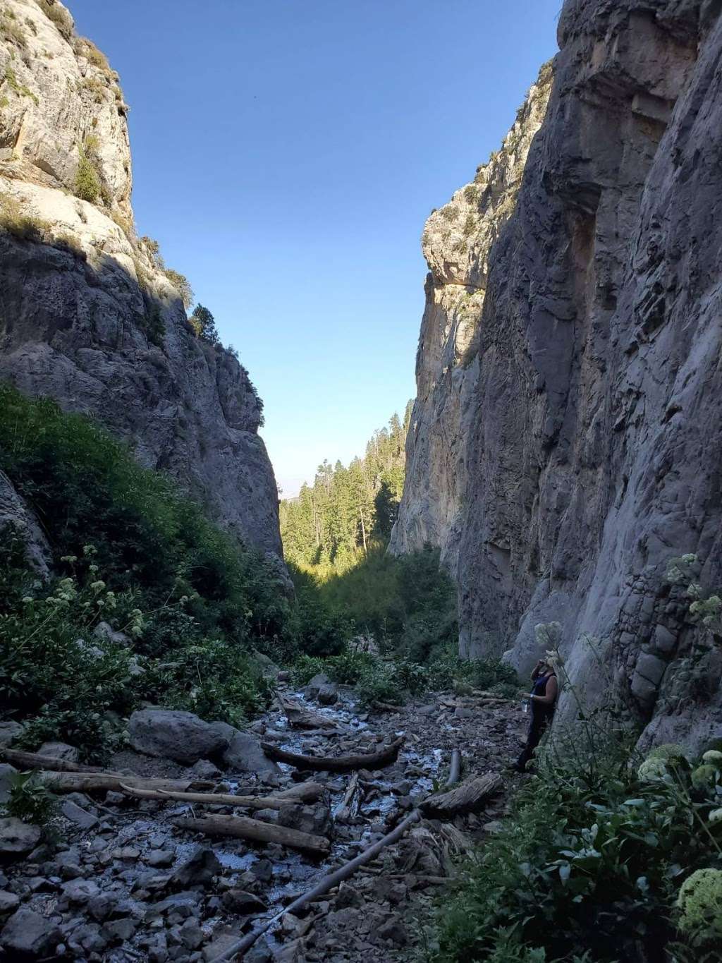 Cathedral Rock Trailhead | Cathedral Picnic Area, Mt Charleston, NV 89124