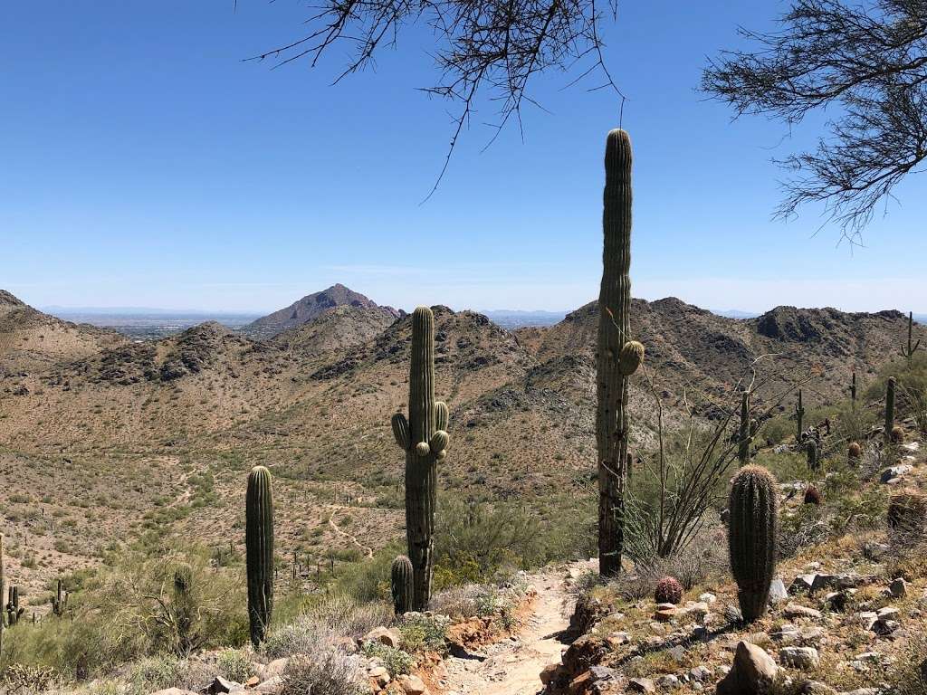 Voaz Trail | Voaz, Phoenix, AZ 85028, USA