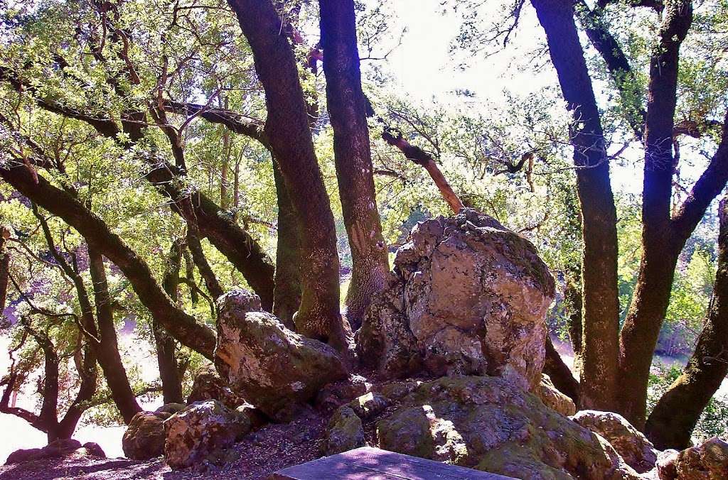 Rock Springs Picnic Area | E Ridgecrest Blvd, Mill Valley, CA 94941