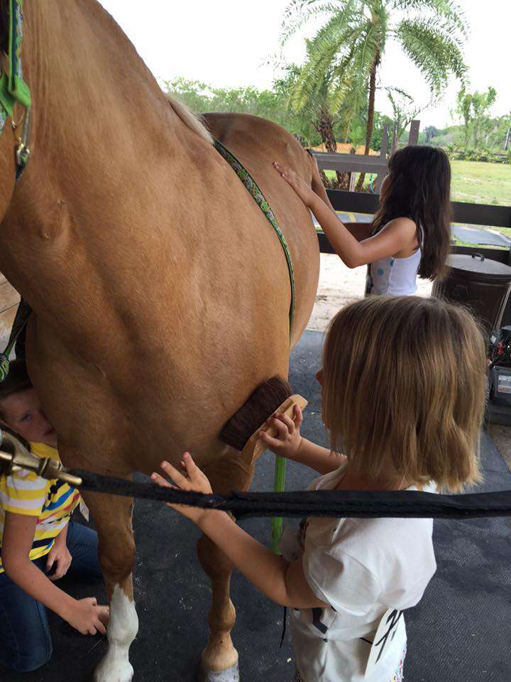 Boca Summer Horse Camp | 8656 Surrey Ln, Boca Raton, FL 33496, USA | Phone: (561) 445-3946