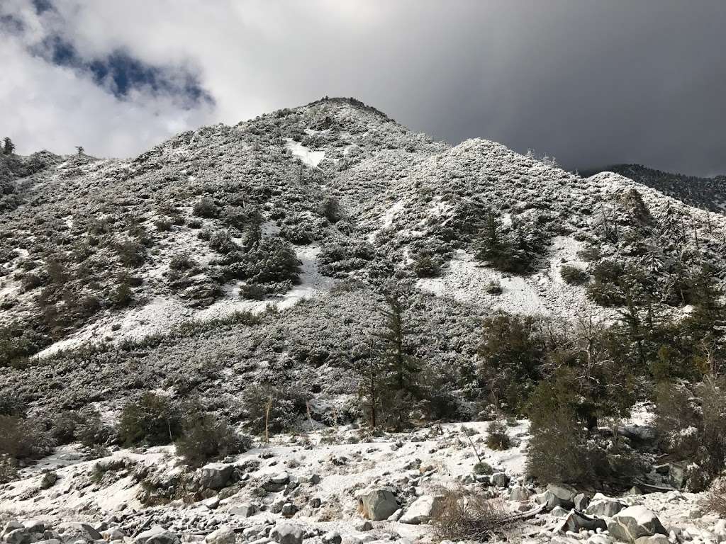 Mt. Baldy Wilderness Preserve | Angeles National Forest San Gabriel Mountains National Monument, Barrett Stoddard Truck Trail, Claremont, CA 91711, USA | Phone: (626) 815-1019