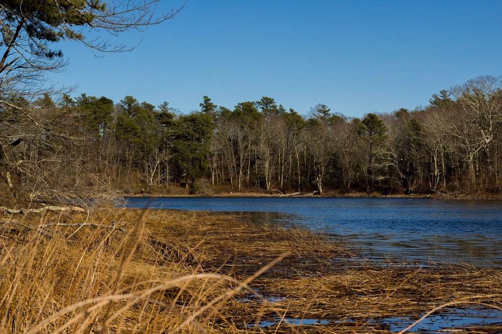 Little Island Pond | Plymouth, MA 02360, USA